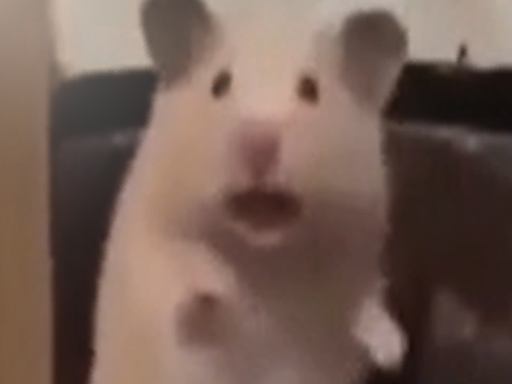 好窩
