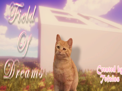 Field Of Dreams