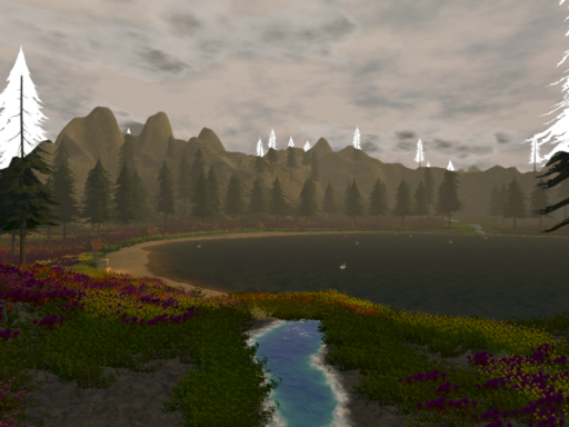The Forest
