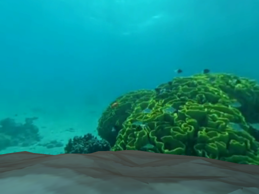 Water Bubbles