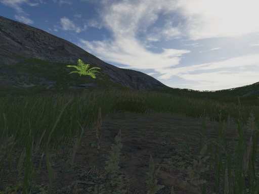 Freedom Land