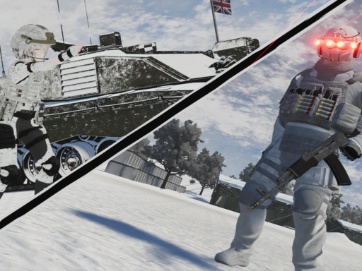 BAF Arctic Warfare