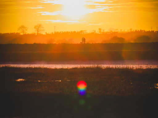 River Alde