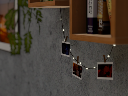 Ingrey's Birdhouse