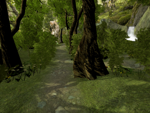 Forest