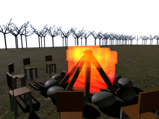 Camp Fox