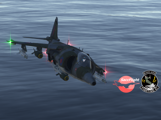 Falklands War