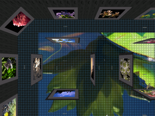 FlowerPhotoRoomVer1.1
