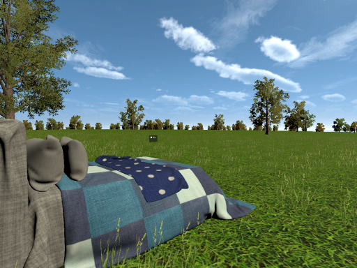 Sunny Field