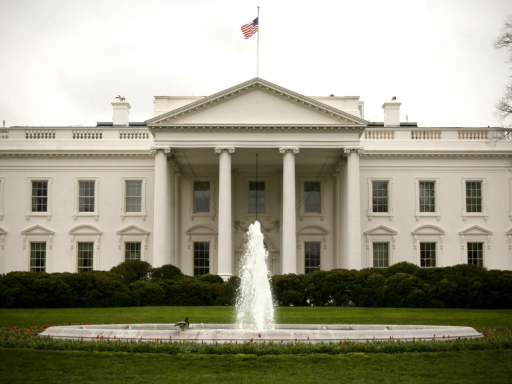 President Cubes