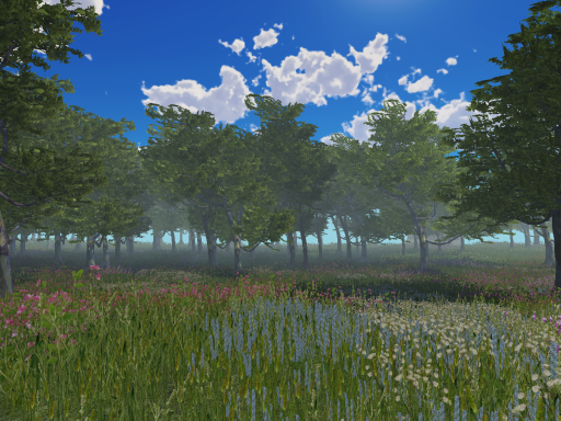 calm forrest