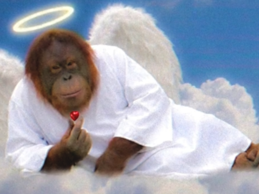 趣味押し込み部屋
