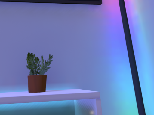 ynRoom