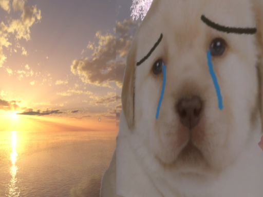 똥강아지월드