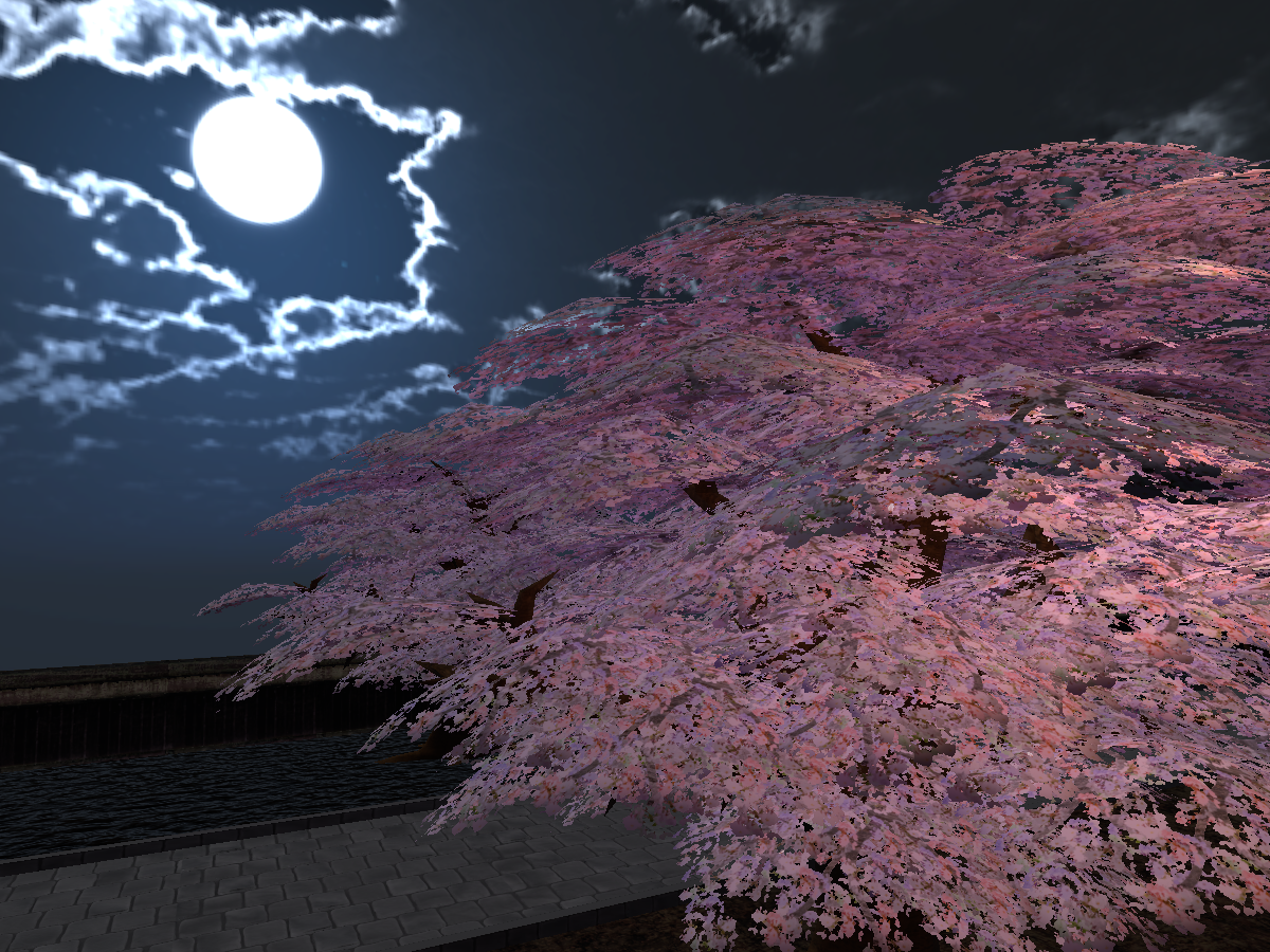 sakura park