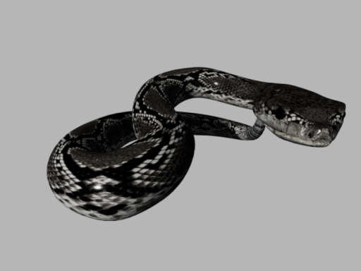 Snake