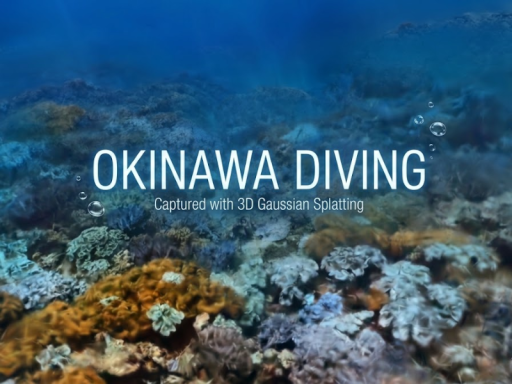 Okinawa Diving