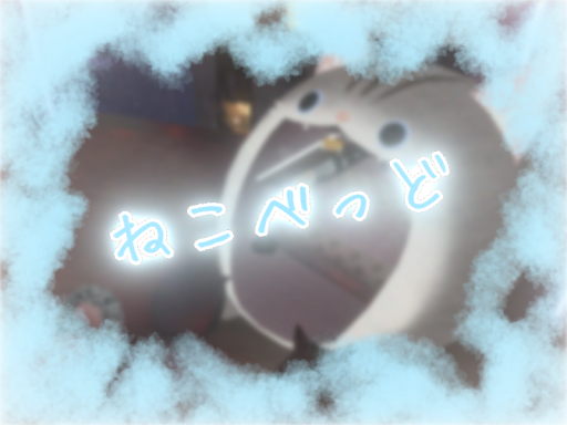 ねこべっど