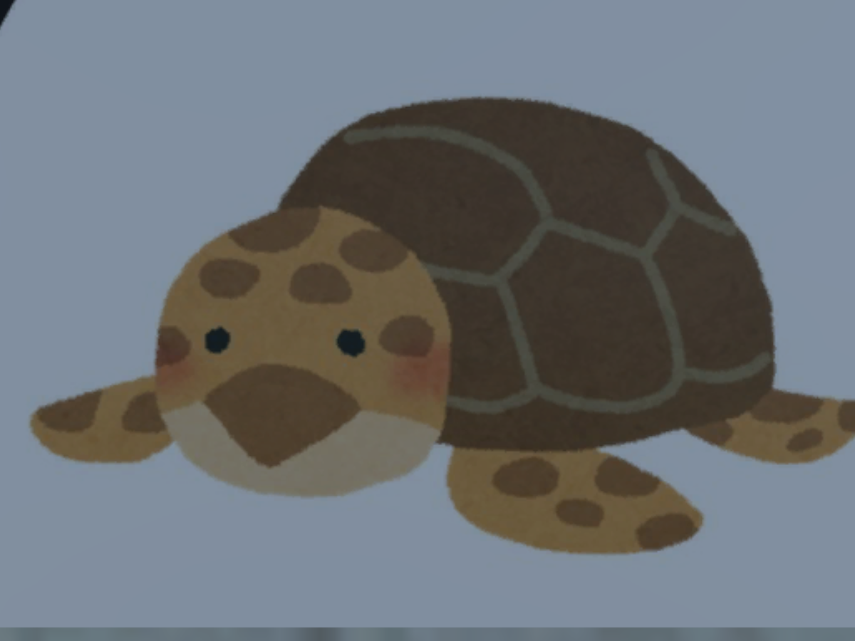 ウミガメのスープ
