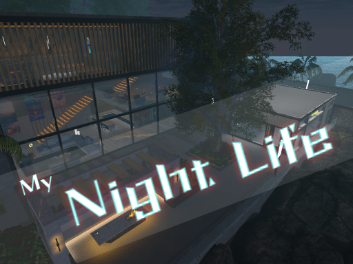 My Night Life