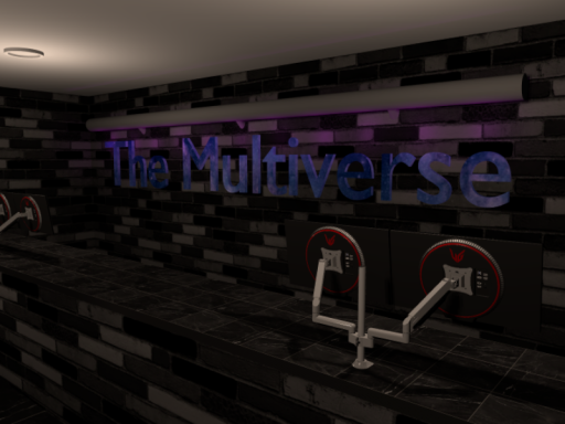 The Multiverse