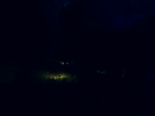 Silent Forest For The Prophet