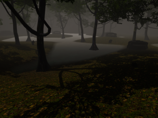 Swamp
