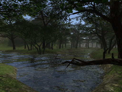 Ronfaure Forest