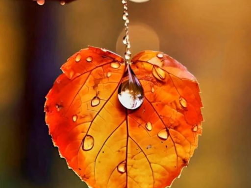 Hangout in Autumn