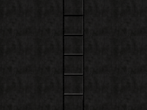Ladder