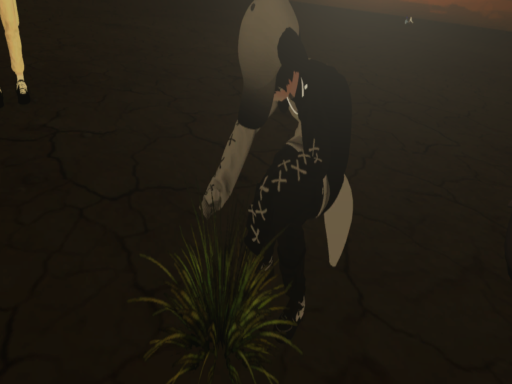 R․I․P Jeffery