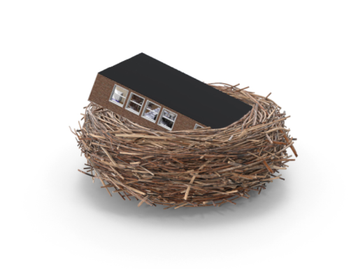 Lucky's BirdNest