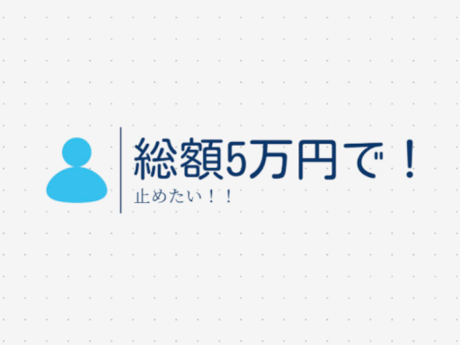 総額5万でとどめたい！