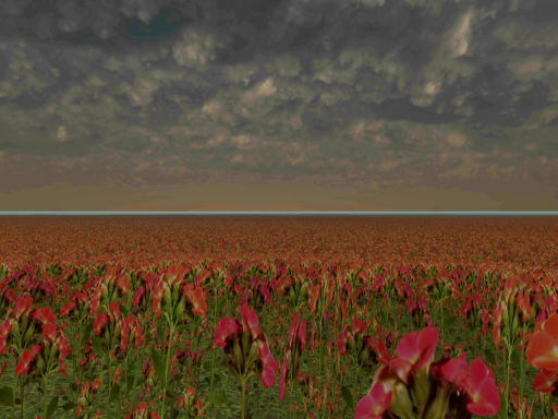 Field of flowers