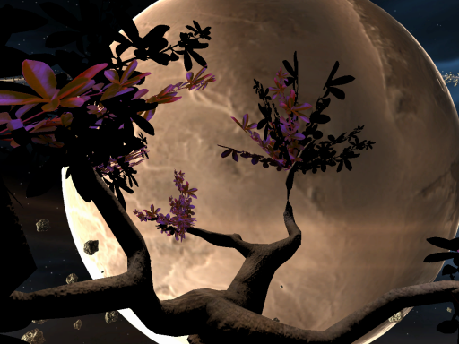 Under the space tree