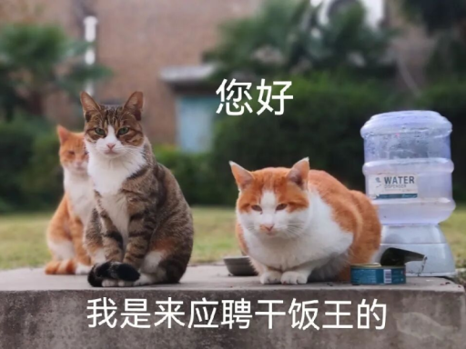 摸鱼小窝