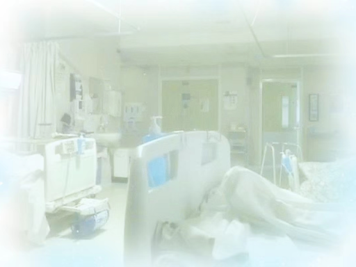 希望能死在一个美丽的地方＋v＋