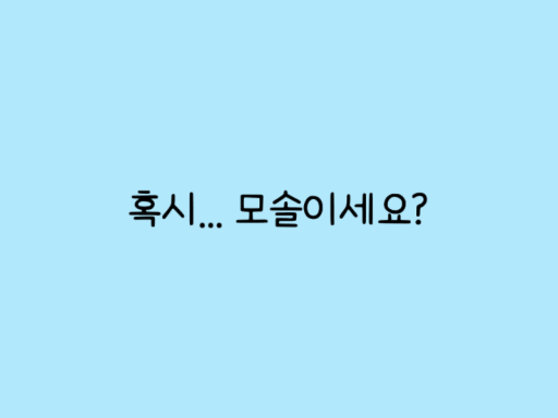 모솔은 못하는 주사위게임