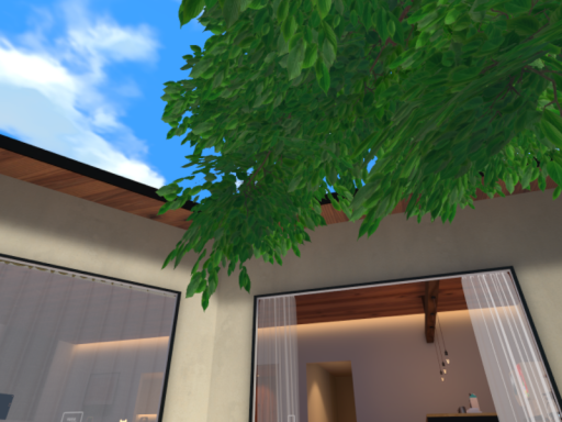 Windnook -sun-