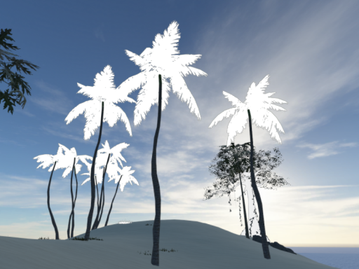 The Paradise