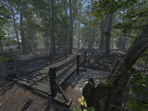 Summer Forest