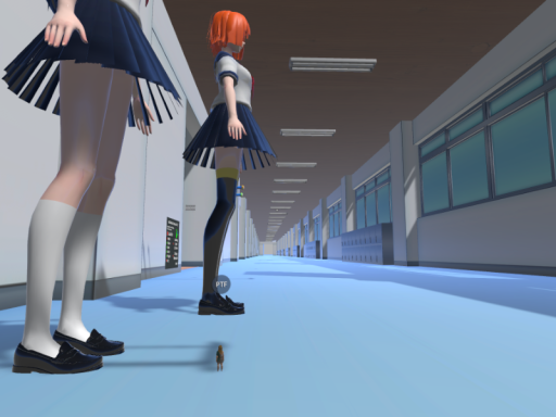 Shrink School