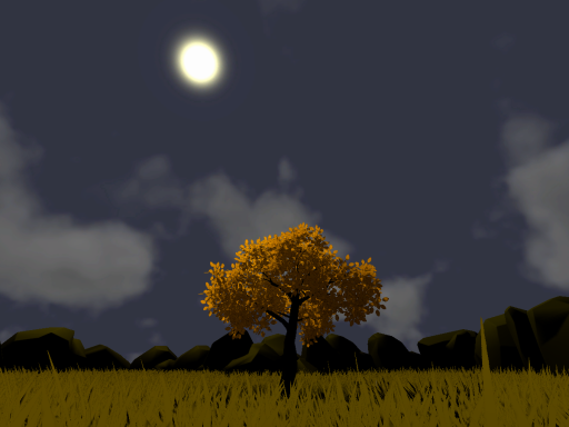 Midnight Field