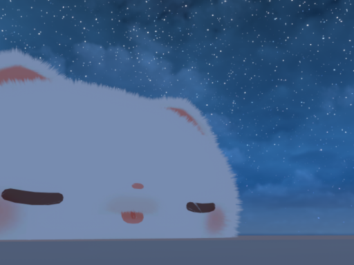 猫と星空とchill