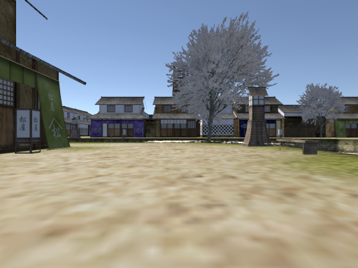 Japan Town