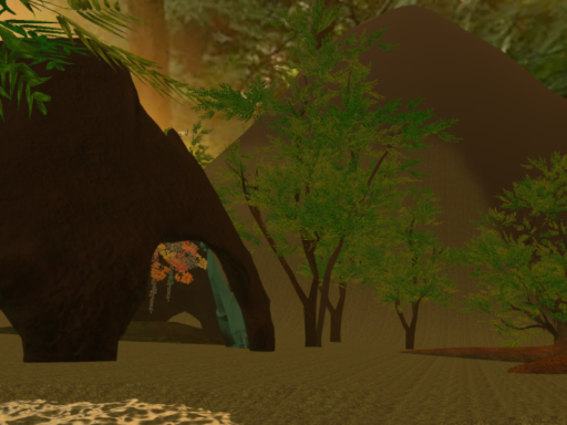 The Woods
