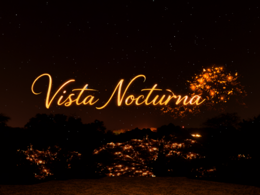 THE NIGHT VIEW - LA VISTA NOCTURNA