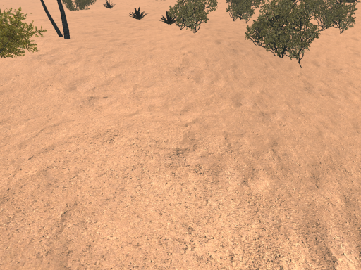 A Small Desert