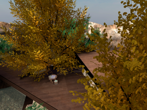 MuriCafe10_autumn_2025