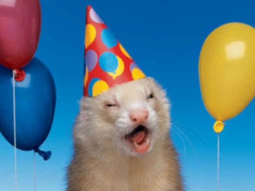 FUZZYCATSNAKE VERY EXCITE BIRTHDAY PARTY